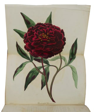 Paxton's Magazine of Botany and Flowering Plants
