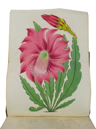 Paxton's Magazine of Botany and Flowering Plants