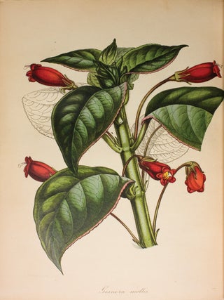 Paxton's Magazine of Botany and Flowering Plants