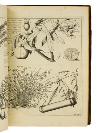 New Account of East-India and Persia, in Eight Letters