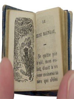 Petit Fabuliste