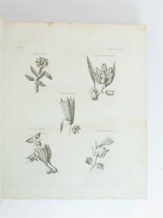 History of Mexico