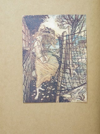 Undine