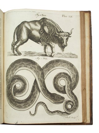 Encyclop&aelig;dia Britannica; or, A Dictionary of Arts and Sciences