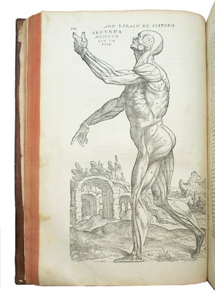 De humani corporis fabrica libri septem