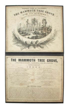 Vischer's Views of California: The Mammoth Tree Grove