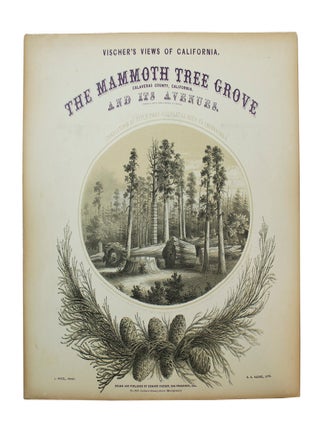 Vischer's Views of California: The Mammoth Tree Grove