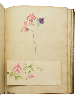 "Forget Me Not" Album -- a Philadelphia Album Amicorum