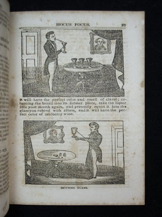 Hocus Pocus, or the Whole Art of Conjuring