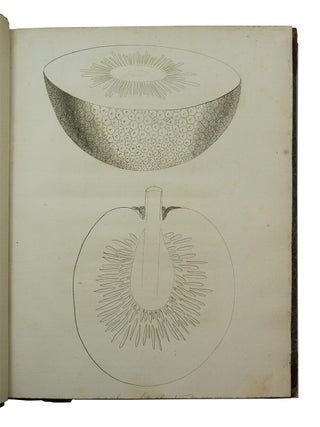 Voyage to the South Sea