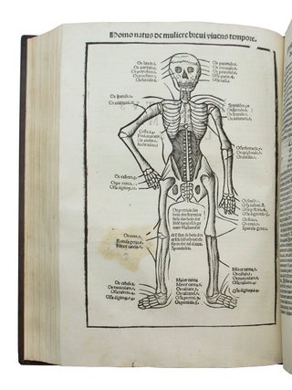 De herbis et plantis, De Animalibus & reptilibus,
