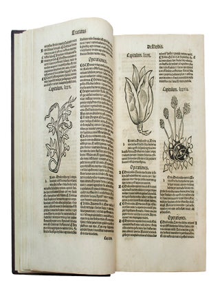 De herbis et plantis, De Animalibus & reptilibus,