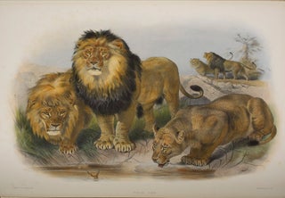 Item #68737 Monograph of the Felidae or Family of Cats. Daniel Giraud ELLIOT
