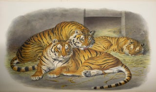 Monograph of the Felididae or Family of Cats