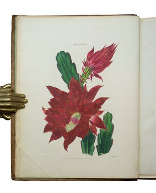 Item #68738 Flora and Pomona; or, the British Fruit and Flower Garden. Charles MCINTOSH