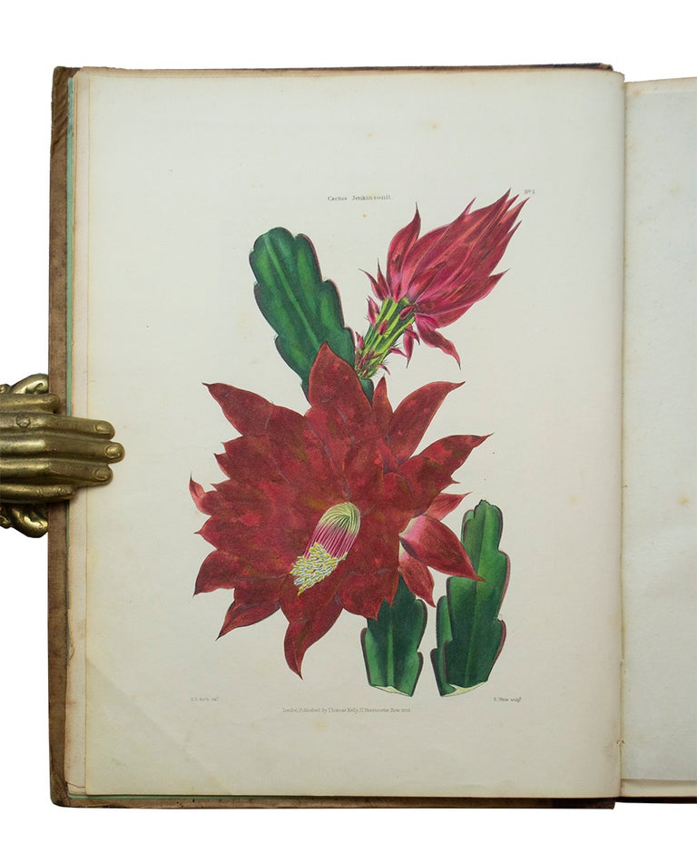 Item #68738 Flora and Pomona; or, the British Fruit and Flower Garden. Charles MCINTOSH.