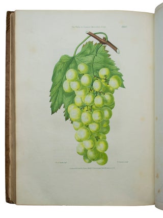 Flora and Pomona; or, the British Fruit and Flower Garden