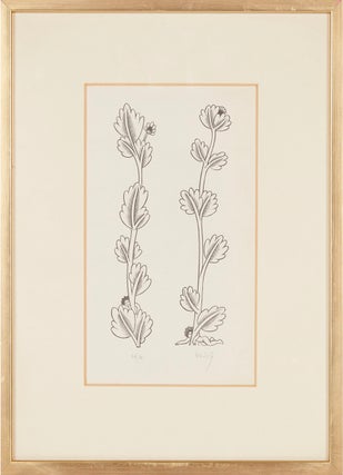 Ten Signed Original Wood Engravings