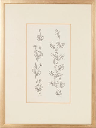 Ten Signed Original Wood Engravings