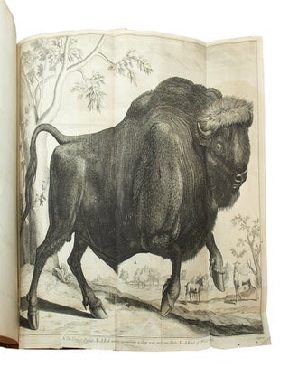 Commentaries of Cæsar