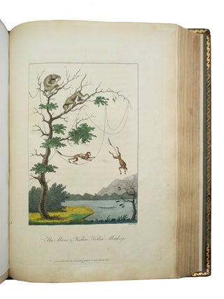 Narrative of a Five Years’ Expedition Against the Revolted Negroes of Surinam,