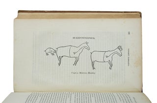 Narrative of the Captivity and Adventures of John Tanner