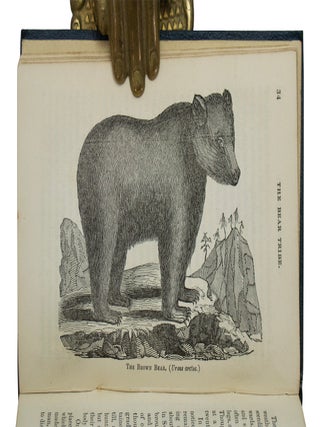 Book of Animals.