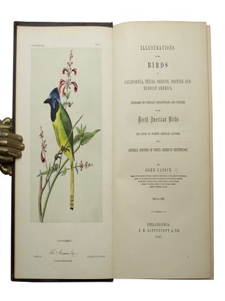 Item #69249 Illustrations of the Birds of California, Texas, Oregon, John CASSIN