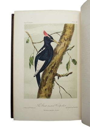 Illustrations of the Birds of California, Texas, Oregon,