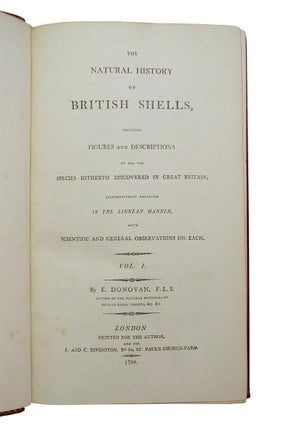 Natural History of British Shells