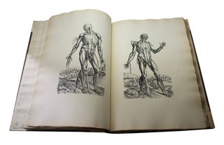 Icones anatomicae