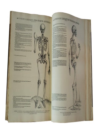 Icones anatomicae