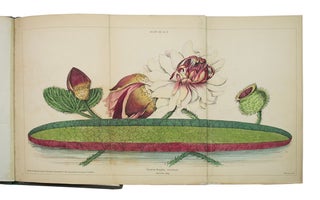 Item #69415 Victoria Regia, au Point de Vue Horticole et Botanique. Jules PLANCHON