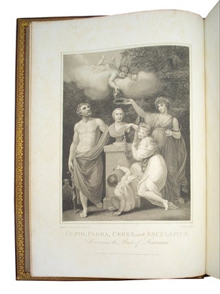 Philosophy of Botany