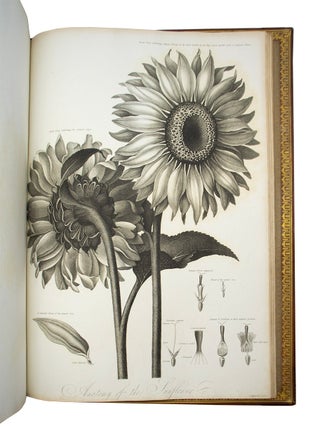 Philosophy of Botany