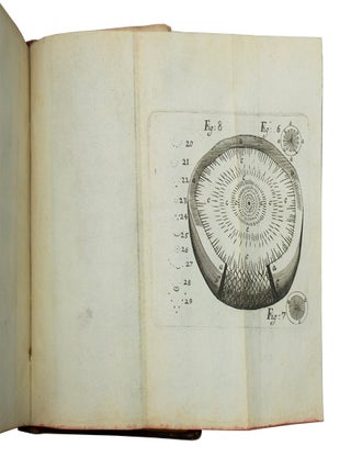The Anatomy of Vegetables Begun