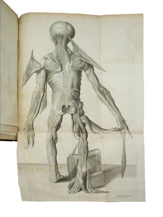 Orang-outang, sive homo sylvestris
