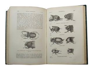 Descent of Man, and Selection in Relation to Sex