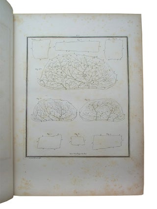 Traité d'anatomie et de physiologie