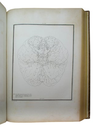 Traité d'anatomie et de physiologie