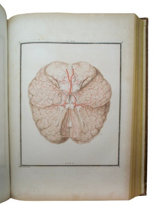 Traité d'anatomie et de physiologie