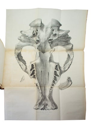 Zoology of the Voyage of the H.M.S. Beagle.