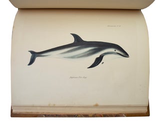 Zoology of the Voyage of the H.M.S. Beagle.