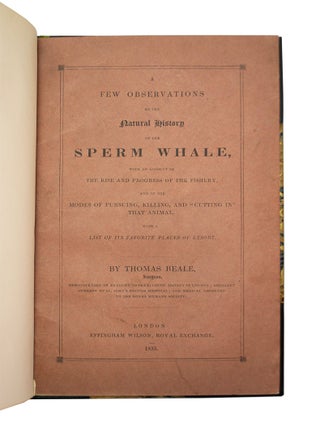 Few Observations on the Natural History of the Sperm Whale
