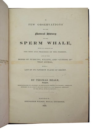 Few Observations on the Natural History of the Sperm Whale