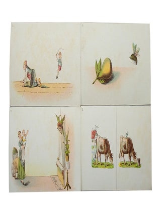 Kroll's Stereoskop-Bilder zum Gebrauch fur Schielende.
