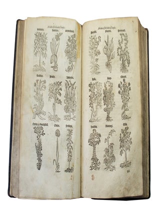 Bulleins bulwarke of defece againste all sicknes, sornes, and woundes